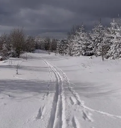 Schulte - Jupp Und Liesl