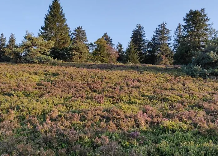 Schulte - Jupp Und Liesl Apartmán