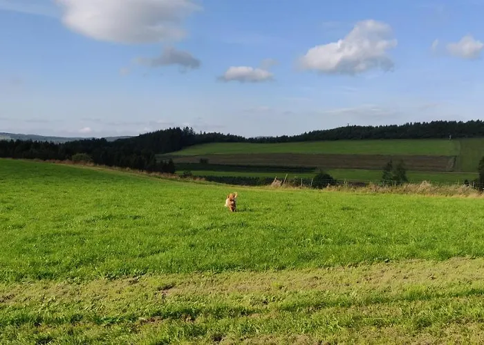 Schulte - Jupp Und Liesl *