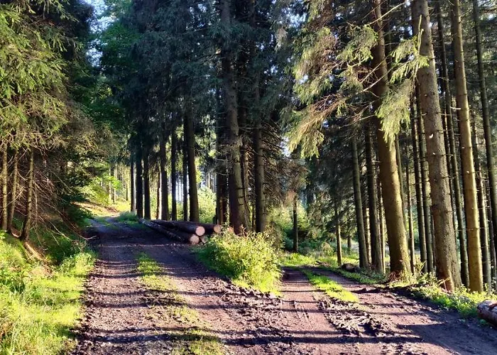 Schulte - Jupp Und Liesl アパート オルスベルク