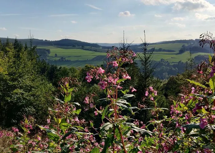 Schulte - Jupp Und Liesl オルスベルク