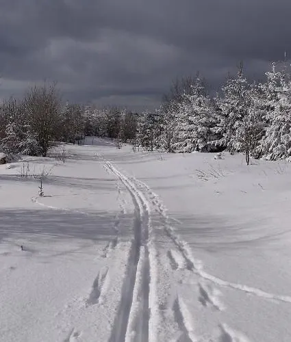 Schulte - Jupp Und Liesl