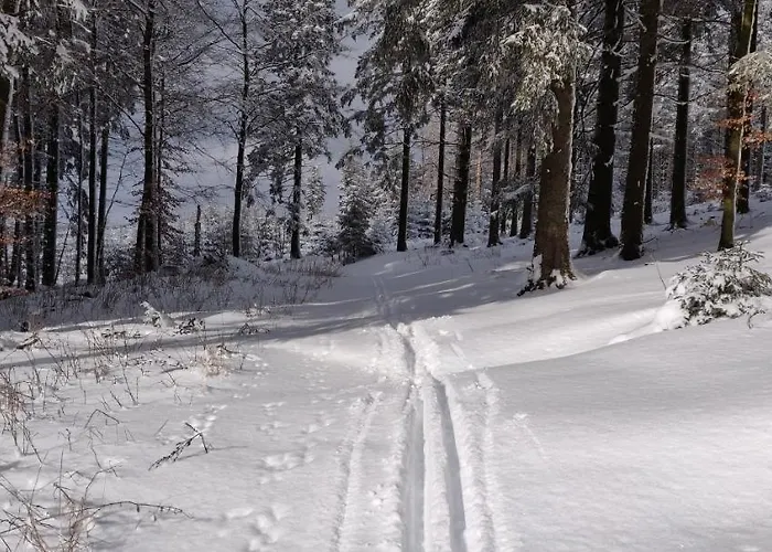 Apartmán Schulte - Jupp Und Liesl Olsberg